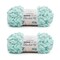Bernat Alize Blanket Mint Yarn - 2 Pack of 180g/6.4oz - Polyester - 7 Jumbo - 18 Yards - Knitting/Crochet